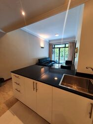 Holland Peak (D10), Condominium #422078111